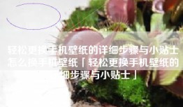轻松更换手机壁纸的详细步骤与小贴士怎么换手机壁纸「轻松更换手机壁纸的详细步骤与小贴士」