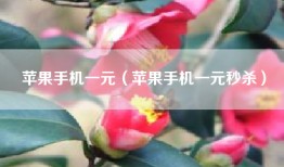 苹果手机一元（苹果手机一元秒杀）
