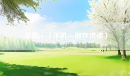 手机etc（手机etc圈存步骤）