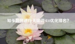 知乎如何进行关键词SEO优化排名？