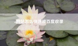 网站怎么快速被百度收录