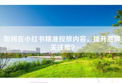 如何在小红书精准投放内容，提升品牌关注度？