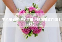 手机维修图纸（手机维修图纸软件哪个好）