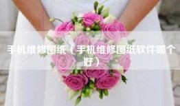 手机维修图纸（手机维修图纸软件哪个好）