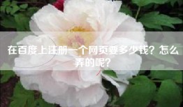 在百度上注册一个网页要多少钱？怎么弄的呢？