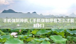 手机强制停机（手机强制停机怎么才能解封）