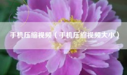 手机压缩视频（手机压缩视频大小）