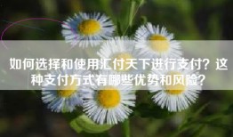 如何选择和使用汇付天下进行支付？这种支付方式有哪些优势和风险？