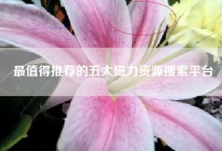 最值得推荐的五大磁力资源搜索平台