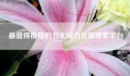 最值得推荐的五大磁力资源搜索平台