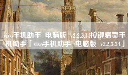vivo手机助手  电脑版  v2.2.3.34按键精灵手机助手「vivo手机助手  电脑版  v2.2.3.34」