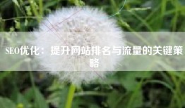 SEO优化：提升网站排名与流量的关键策略