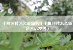 手机照片怎么重命名（手机照片怎么重命名后发送）