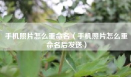 手机照片怎么重命名（手机照片怎么重命名后发送）