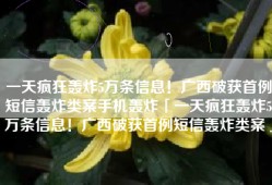 一天疯狂轰炸5万条信息！广西破获首例短信轰炸类案手机轰炸「一天疯狂轰炸5万条信息！广西破获首例短信轰炸类案」