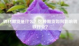 钢材期货是什么？这种期货如何影响钢铁行业？