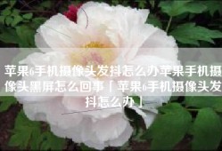 苹果6手机摄像头发抖怎么办苹果手机摄像头黑屏怎么回事「苹果6手机摄像头发抖怎么办」