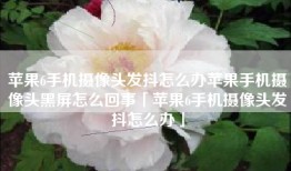苹果6手机摄像头发抖怎么办苹果手机摄像头黑屏怎么回事「苹果6手机摄像头发抖怎么办」