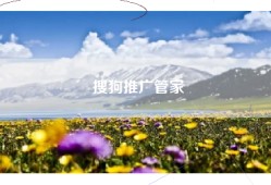 搜狗推广管家