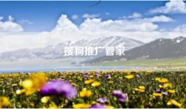 搜狗推广管家