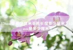 170mm是多少厘米手机长度多少厘米「170mm是多少厘米」