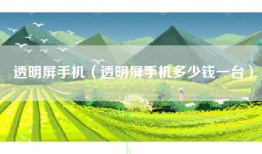 透明屏手机（透明屏手机多少钱一台）
