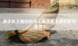 换手机主题的软件（换手机主题的软件免费）