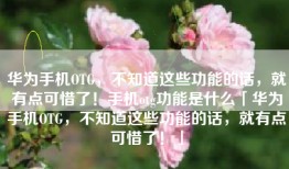 华为手机OTG，不知道这些功能的话，就有点可惜了！手机otg功能是什么「华为手机OTG，不知道这些功能的话，就有点可惜了！」