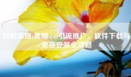 轻松实现(黑帽seo)引流推广，软件下载与免费安装全攻略