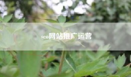 seo网站推广运营