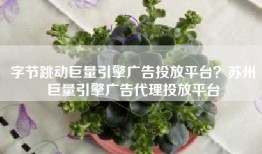 字节跳动巨量引擎广告投放平台？苏州巨量引擎广告代理投放平台