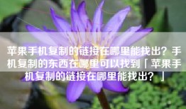 苹果手机复制的链接在哪里能找出？手机复制的东西在哪里可以找到「苹果手机复制的链接在哪里能找出？」