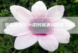 您在使用HTTPS的时候遇到困难了吗？