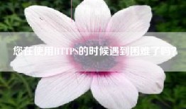 您在使用HTTPS的时候遇到困难了吗？