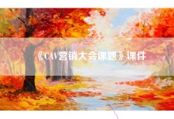 《CAV营销大会课题》课件
