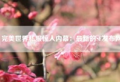 完美世界私服惊人内幕：最新的SF发布网