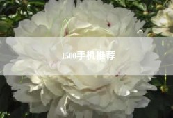 1500手机推荐