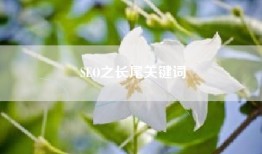 SEO之长尾关键词