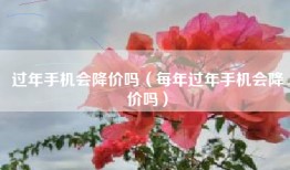 过年手机会降价吗（每年过年手机会降价吗）