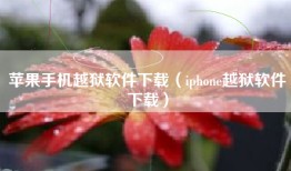 苹果手机越狱软件下载（iphone越狱软件下载）