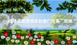 SEO携手企业营销筑起推广效果＂屏障＂