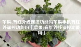 苹果x有红外线遥控功能吗苹果手机有红外遥控功能吗「苹果x有红外线遥控功能吗」