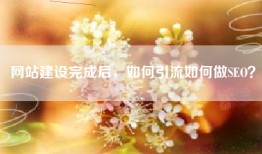 网站建设完成后，如何引流如何做SEO？