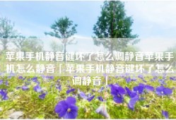 苹果手机静音键坏了怎么调静音苹果手机怎么静音「苹果手机静音键坏了怎么调静音」