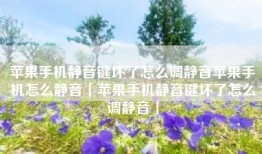 苹果手机静音键坏了怎么调静音苹果手机怎么静音「苹果手机静音键坏了怎么调静音」