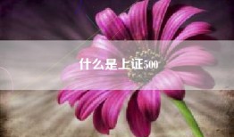 什么是上证500