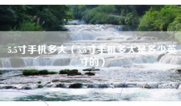 5.5寸手机多大（5.5寸手机多大是多少英寸的）