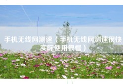 手机无线网测速（手机无线网测速很快实际使用很慢）