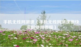 手机无线网测速（手机无线网测速很快实际使用很慢）