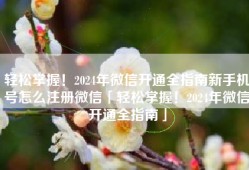 轻松掌握！2024年微信开通全指南新手机号怎么注册微信「轻松掌握！2024年微信开通全指南」